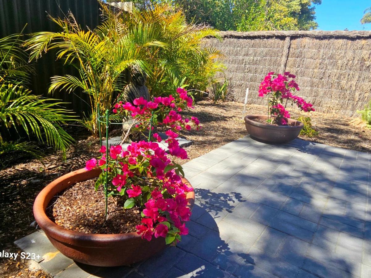 Tranquil Gumnut Cottage - Close To Airport Perth Dış mekan fotoğraf